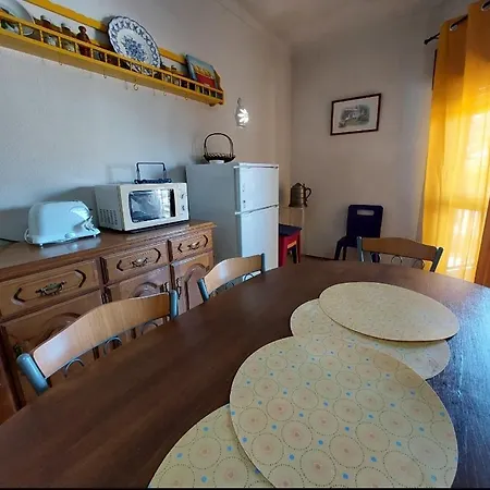 Apartment Flower Da Rocha *